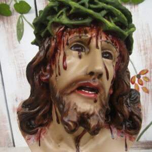 Rostro de Limpias